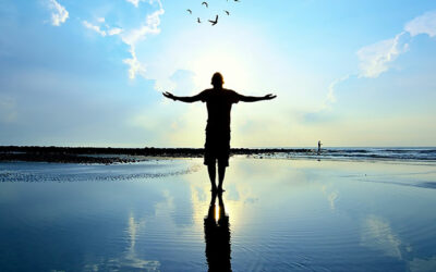 What is a biorhythm and why should you take care of it?